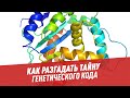 Обмен белков: как разгадать тайну генетического кода - Школьная программа для взрослых