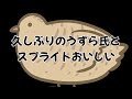 【ご帰宅】Spriteなうずら氏