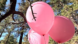 6 Pink Helium Balloons Playing And Popping In Trees, 4K, Forest Balloon Play To Pop 51