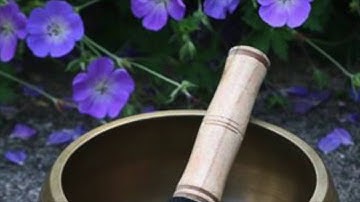 MBCT Mindful Stretching Lying Down Postures Short MBCT