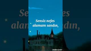 Survivor2Wei̇türkçe Çeviri