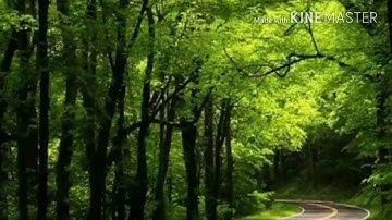 الليلة20من رمضان ماتيسر من سورة الاسراء للقارئ بلال بوعشرية