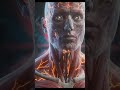 WHAT HAPPENS INSIDE YOUR BODY DURING FEAR #3danimation #humanbody #health #usashorts #animtion