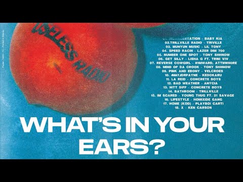 PEACH FUZZ VISUALIZER - USESLESS RADIO PLAYLIST
