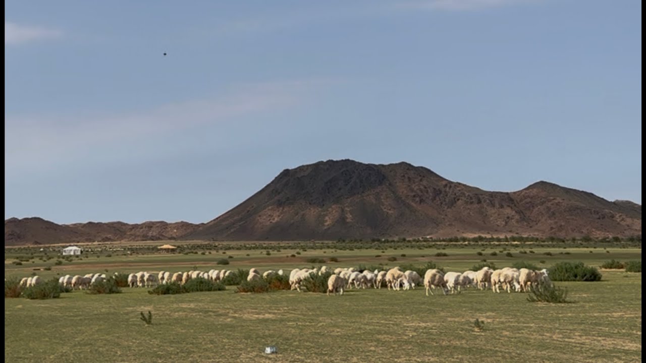 ربيع فج الرميثي غرب الجموم ١٢ ديسمبر ٢٠٢٥