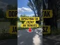 regeneracja