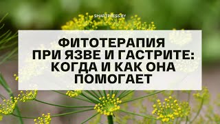 Фитотерапия при язве и гастрите: когда и как она помогает