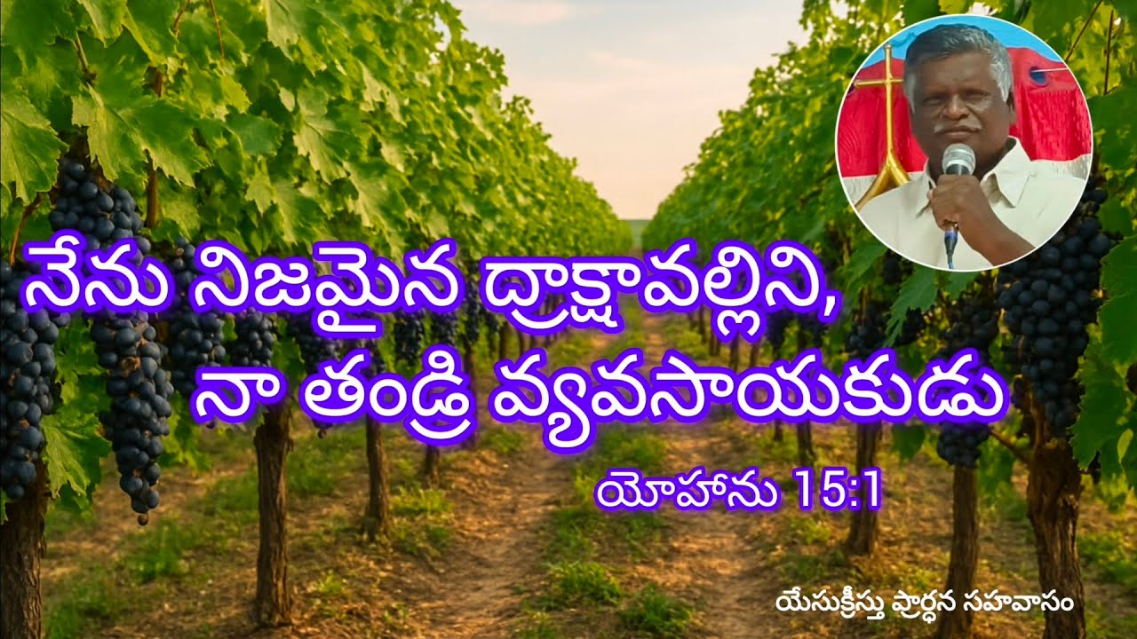 Nijamaina drakshavalli