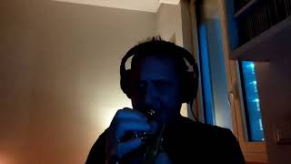 Mad World (Tears for fears) #trumpet #melancholy #madworld #remember #you #are #human