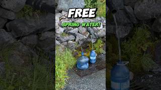 In Haines, Alaska Spring Water Flows Gently From Two 2&quot; Pipes Protruding from the Mountain Side