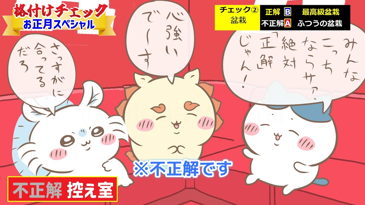 ちいかわ】みんなで格付けチェック - YouTube