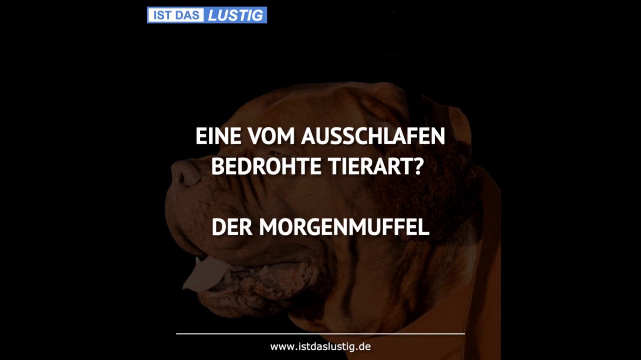 Download Ausschlafen sprueche Desktop Wallpaper Ausschlafen Sprueche