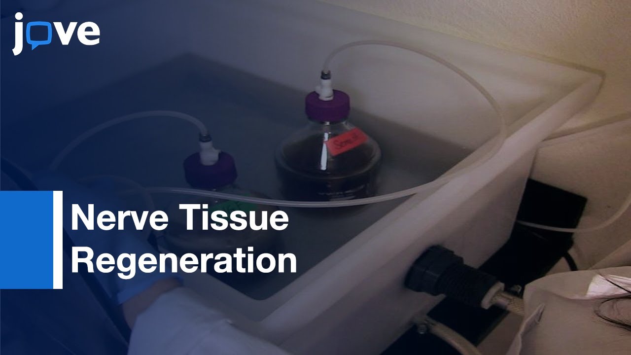 Expression, Isolation & Purification Of Soluble & Insoluble