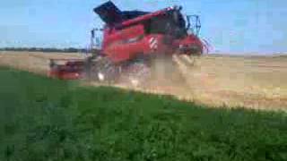 Moissons escourgeon a songy (51)