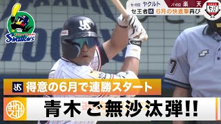 【ヤクルト】ベテラン青木 昨年8月16日以来のご無沙汰弾！得意の6月で連勝スタート｜6月3日 ヤクルト 対 楽天 プロ野球交流戦