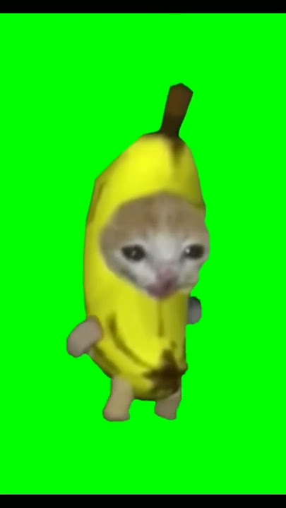 Pisang Kucing Green screen Berjalan#bananacat