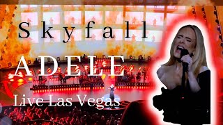 Famous Skyfall Adele Live in Las Vegas Net Worth