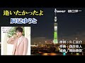 新曲「逢いたかったよ」 辰巳ゆうと Cover:樋口洋一 2021年5月26日