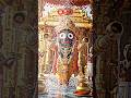 jay🌺 ⭕‼️⭕🙏#jagannathswami 🌺#trending 🌺#oldodiabhajan 🌻#shortscontent ❤️💐#shortsvideo