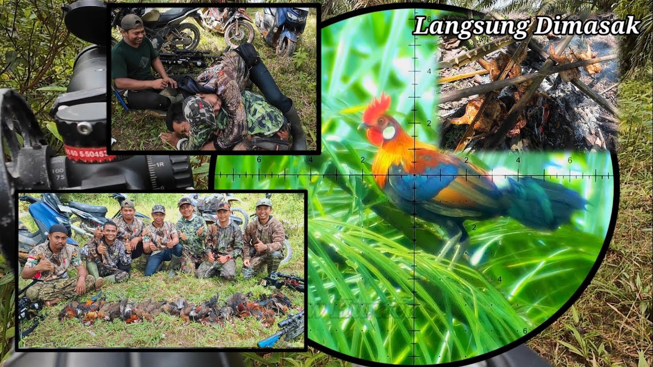 BERBURU AYAM HUTAN SAWIT 070525 || Sambil Masak Dilokasi