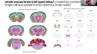 AD@UW Research Education 10/23/26: Open-access neuroscience data and tools