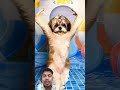 Cutest Dog Dance Ever!#shorts#funnypets #dog #dogdance #fyp
