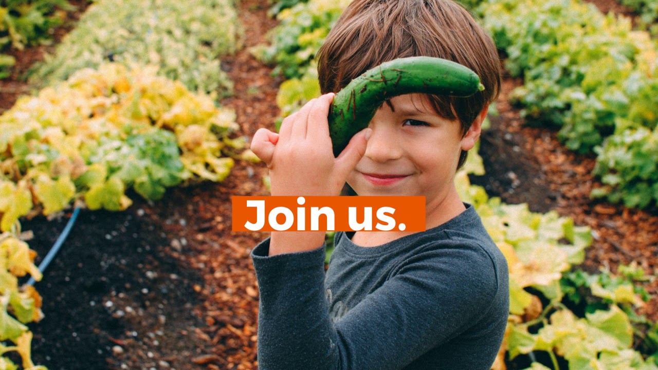 PCC Farmland Trust - Celebrate Local Food this Harvest Season