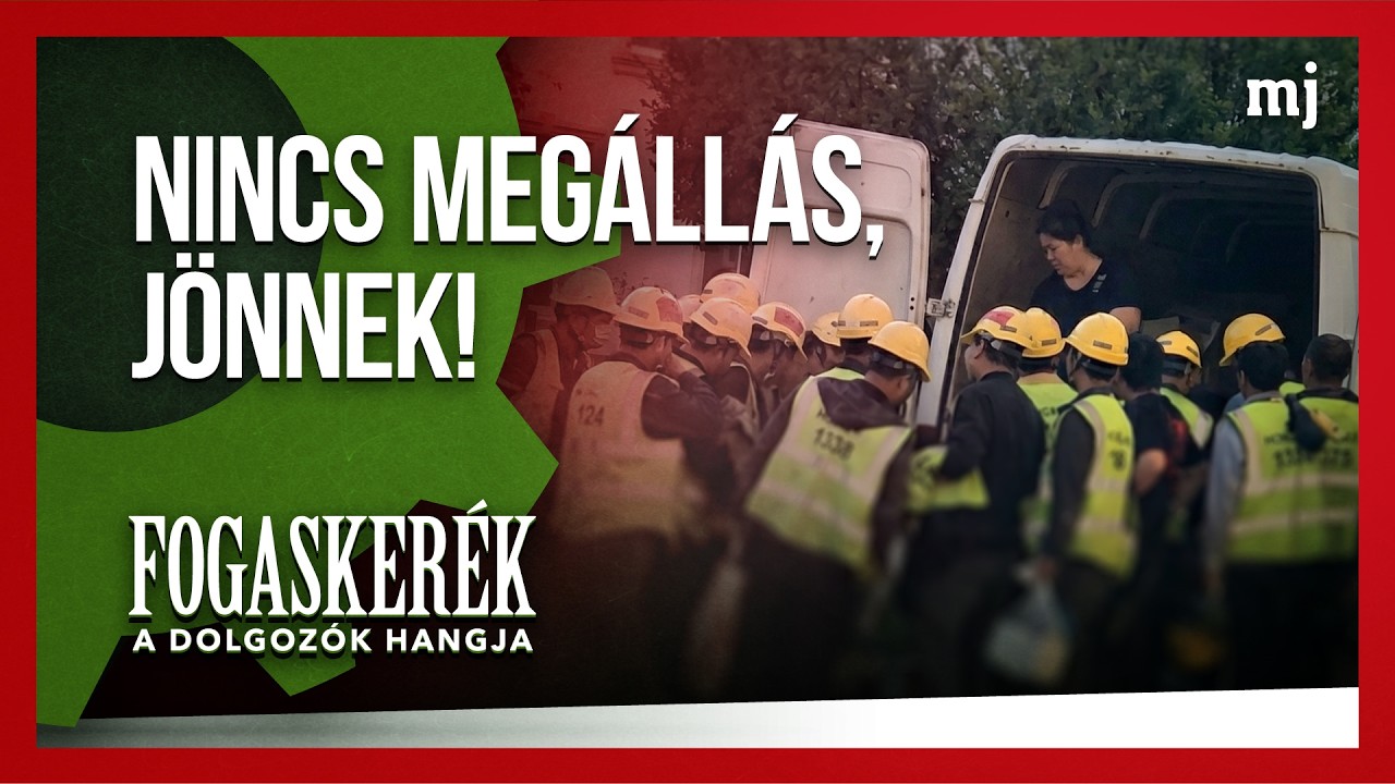 A végrehajtó maffia által zsákmányolt szállóba érkeznek százával a kínai vendégmunkások / FOGASKERÉK