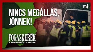 A Vgrehajt Maffia ltal Zskmnyolt Szllba rkeznek Szzval A Knai Vendgmunksok  Fogaskerk