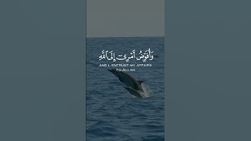 شيخ خالد الجليل | تلاوه خاشعة تبكي القلوب | وافوض امري الى الله | #قران #اكسبلور