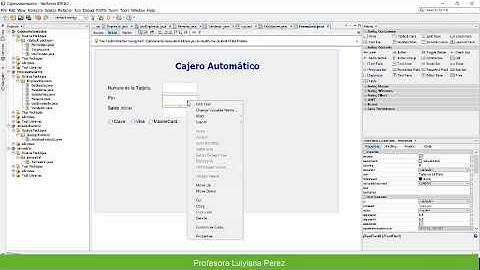 Diseño de un formulario en Netbeans