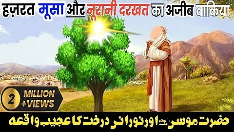 Hazrat Musa A.s our darakht ka waqia | The story of Hazrat Musa Aawar tree 🌲|