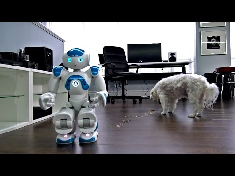 Robot + Dog + Pop-Tart = ?