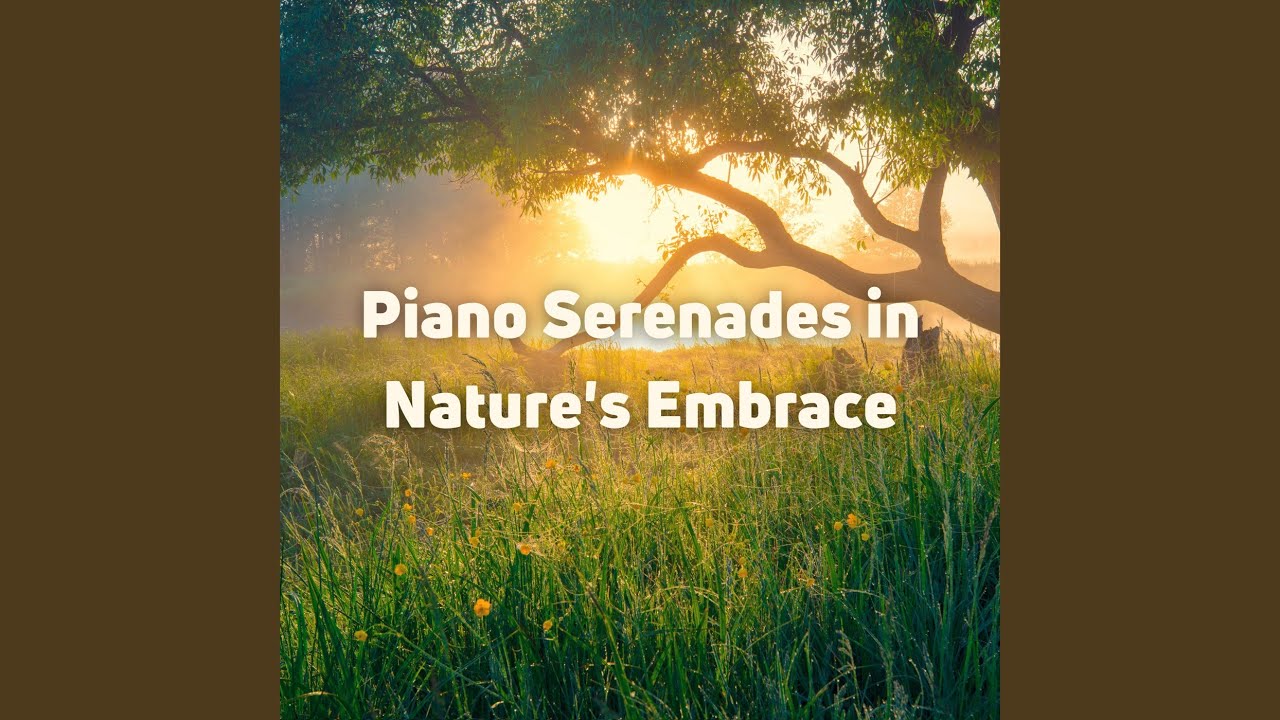 Oceanic Piano Reflections