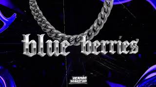 BLUE BERRIES - HERNÁN SEBASTIAN (GUARATECH REMIX) 🍒​