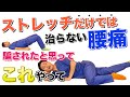 【腰痛の治し方】ストレッチだけでは治らない腰痛はこれをしないとダメ!