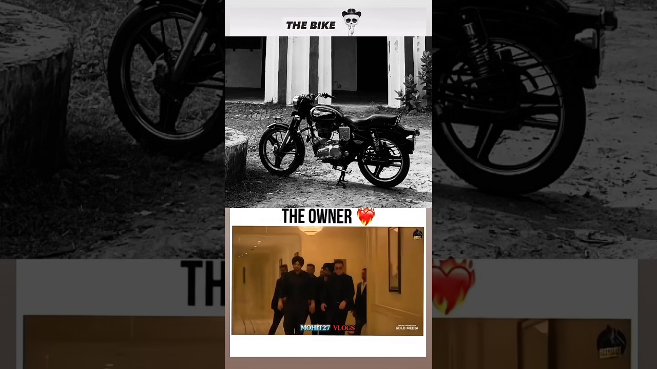 caption this video in comments 