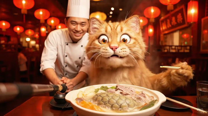 J'ai survécu au resto ! | #funnycats  #catlovers  #vlog