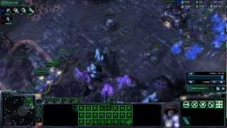 IMBAbuilds Tutorial - Thorzain's 1rax FE variant