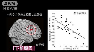 うつ病の兆候発見　子育て中の母親への調査で確認(18/02/06)