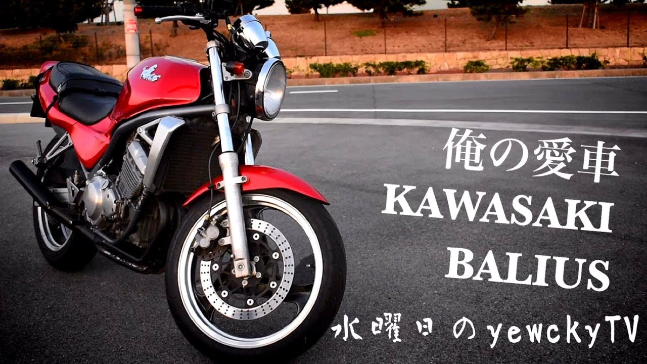 人気のバリオス 実動美車❗️ バリオス/カワサキ/KAWASAKI バリオス 全車12ヶ月保証付! 納車後1年間