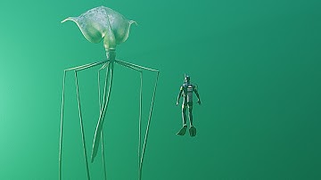 Magnapinna Squid Footage 2023 | ZEENCHU