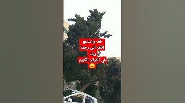 سورة الشورى الايه 25 صوت جميل ورائع جدا #قران_كريم #اذكرو_الله #قرآن #نريد_الجنه