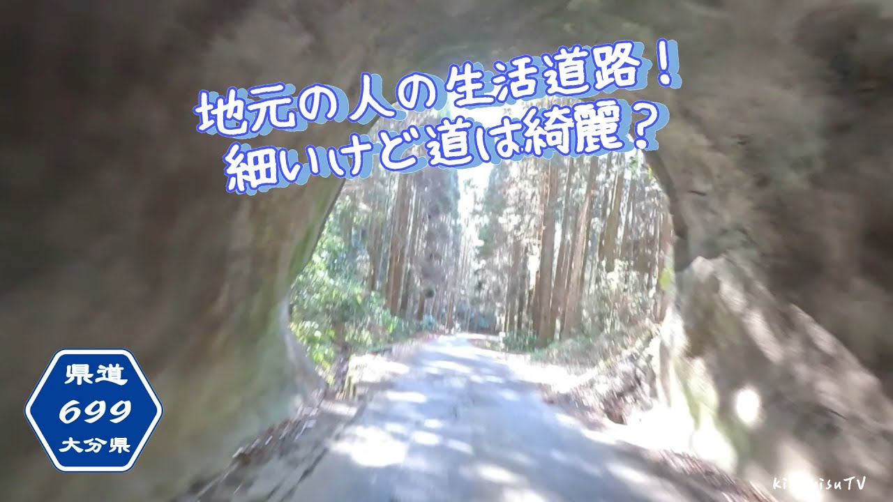 【旧道シリーズ】そこまで悪くもないが細い道！大分険道699号線