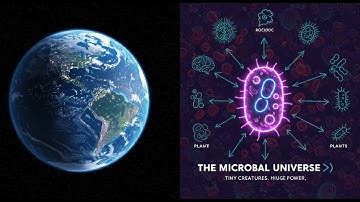 The Microbial Universe 🌍🔬 | How Tiny Lifeforms Shape Everything
