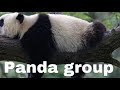 I made the panda group channel