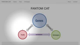 FANTOM CAT and ZENBU Browser screenshot 3