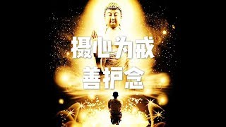 201712 摄心为戒 善护念22928