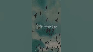 يا أيتها النفس المطمئنه حالات واتس قران كريم #روسيا #اوكرانيا #الحرب