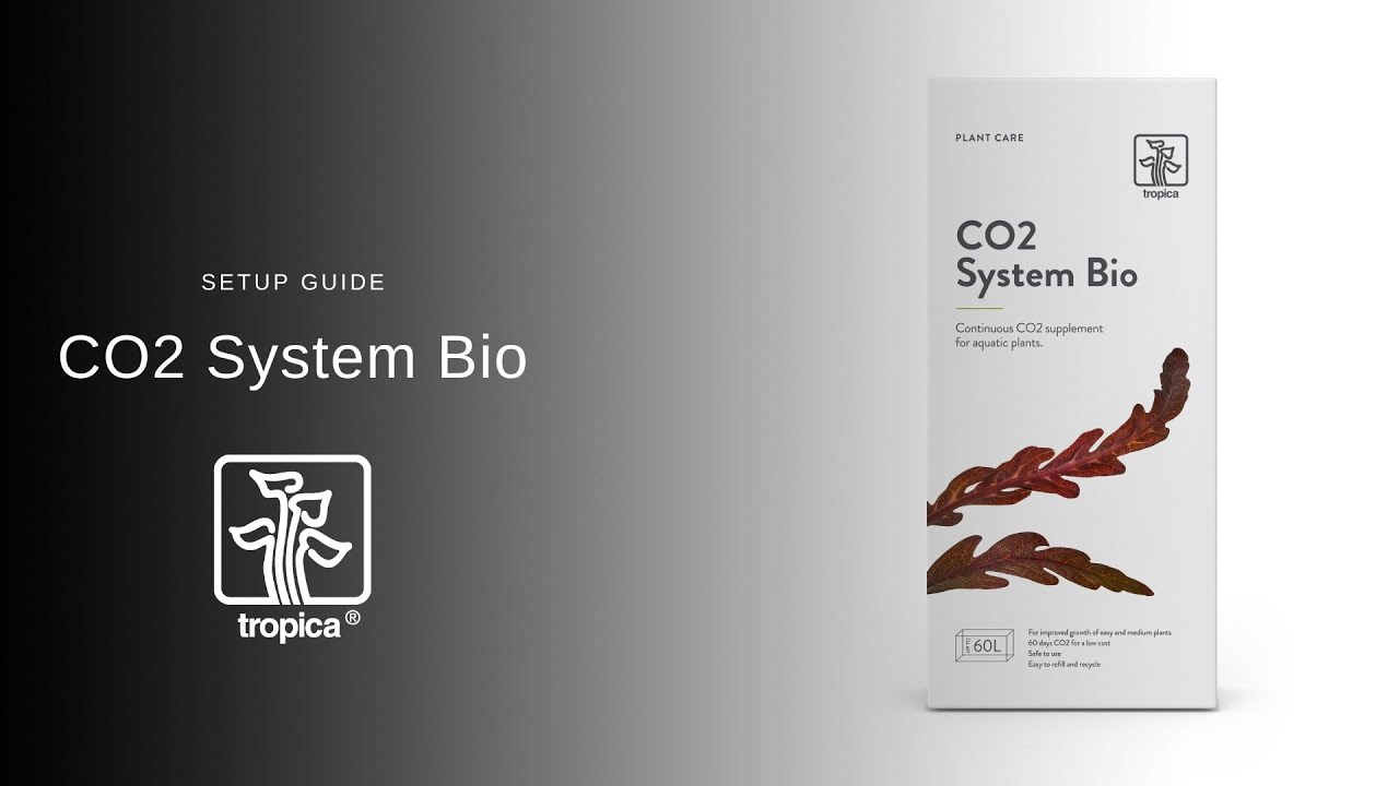 CO2 System Bio - Setup Guide